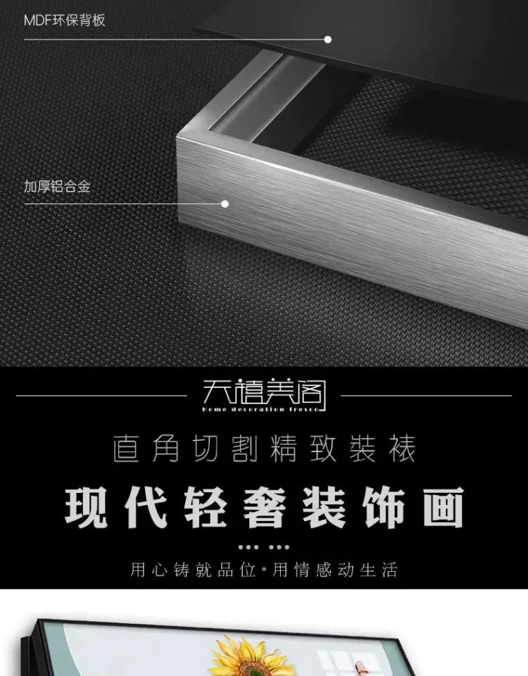 抽象 单幅 装饰画 现代简约 客厅背景墙挂画 晶瓷画